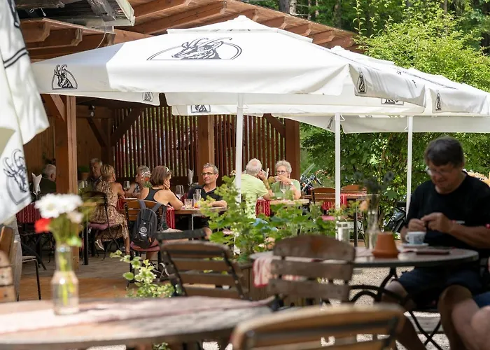 בית הארחה Draga